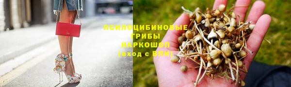 прущая мука Алзамай