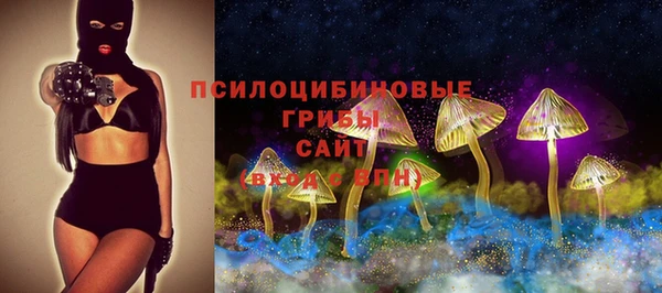 прущая мука Алзамай