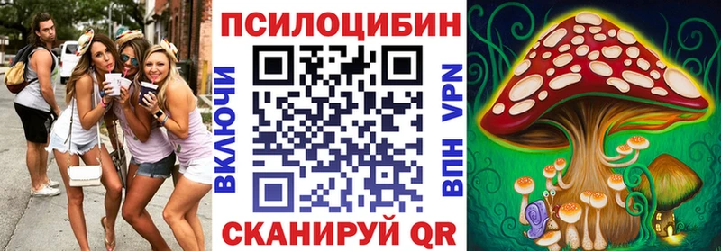 Купить  Барабинск  Псилоцибиновые грибы Psilocybine cubensis 
